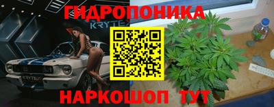 spice Гусиноозёрск