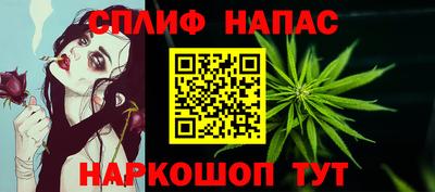 spice Гусиноозёрск