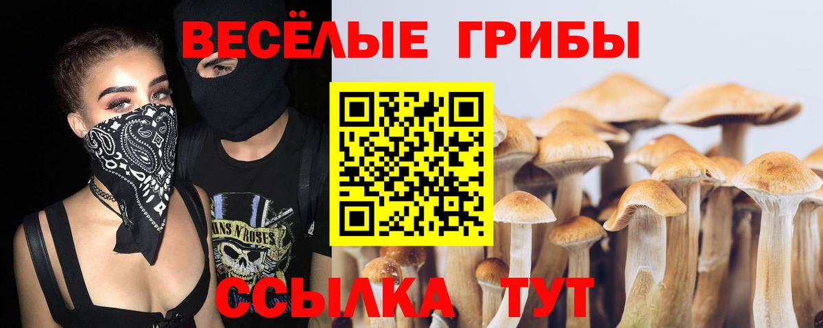 Галлюциногенные грибы прущие грибы Нефтеюганск